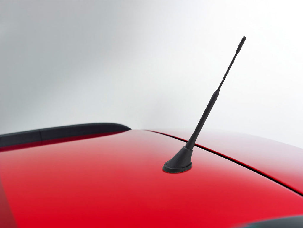 Antenna AM/FM amplificata da tetto posteriore (08019)